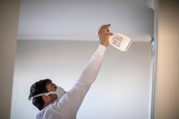 Best Mold Testing and Inspection Services in Dover Plains, NY